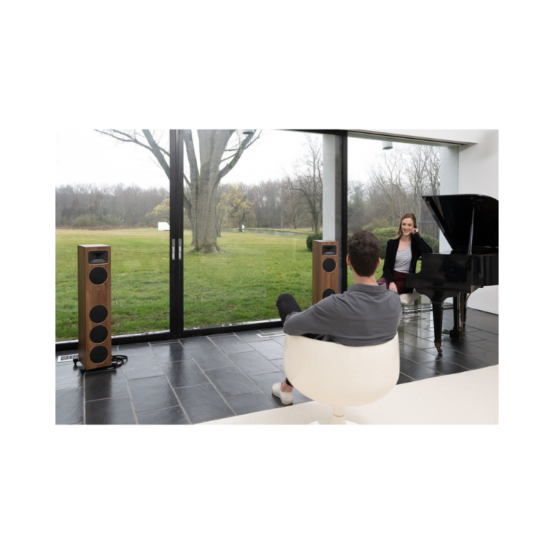 Martin Logan Motion Foundation F2 Floorstanding Speakers (Pair)