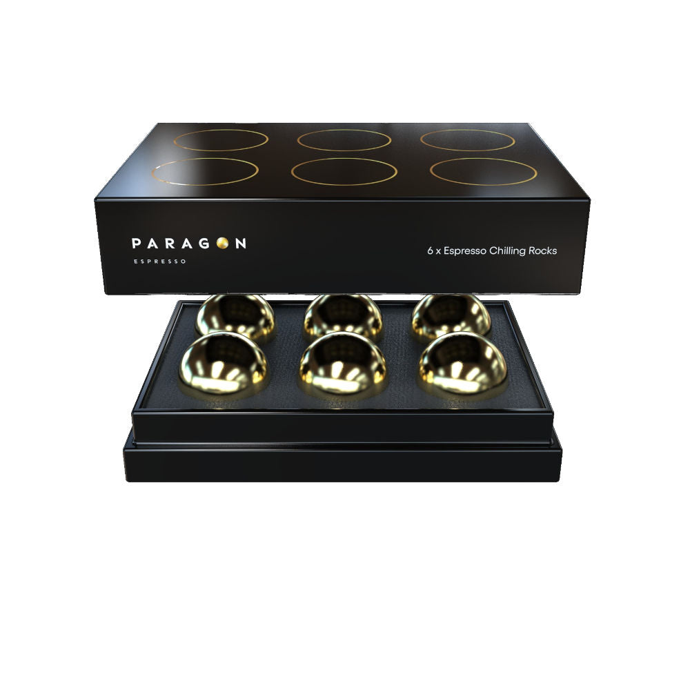 Nucleus Paragon Espresso Chlling Rock 6-pack