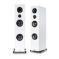 PSB Imagine T65 - Tower (Each)