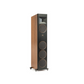 Martin Logan Motion XT F100 Floorstanding Speakers (Pair)