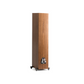 Martin Logan Motion F20 Floorstanding Speakers (Pair)