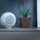 Cabasse Pearl Akoya - A Compact Co-Axial Wireless Speaker (Each)