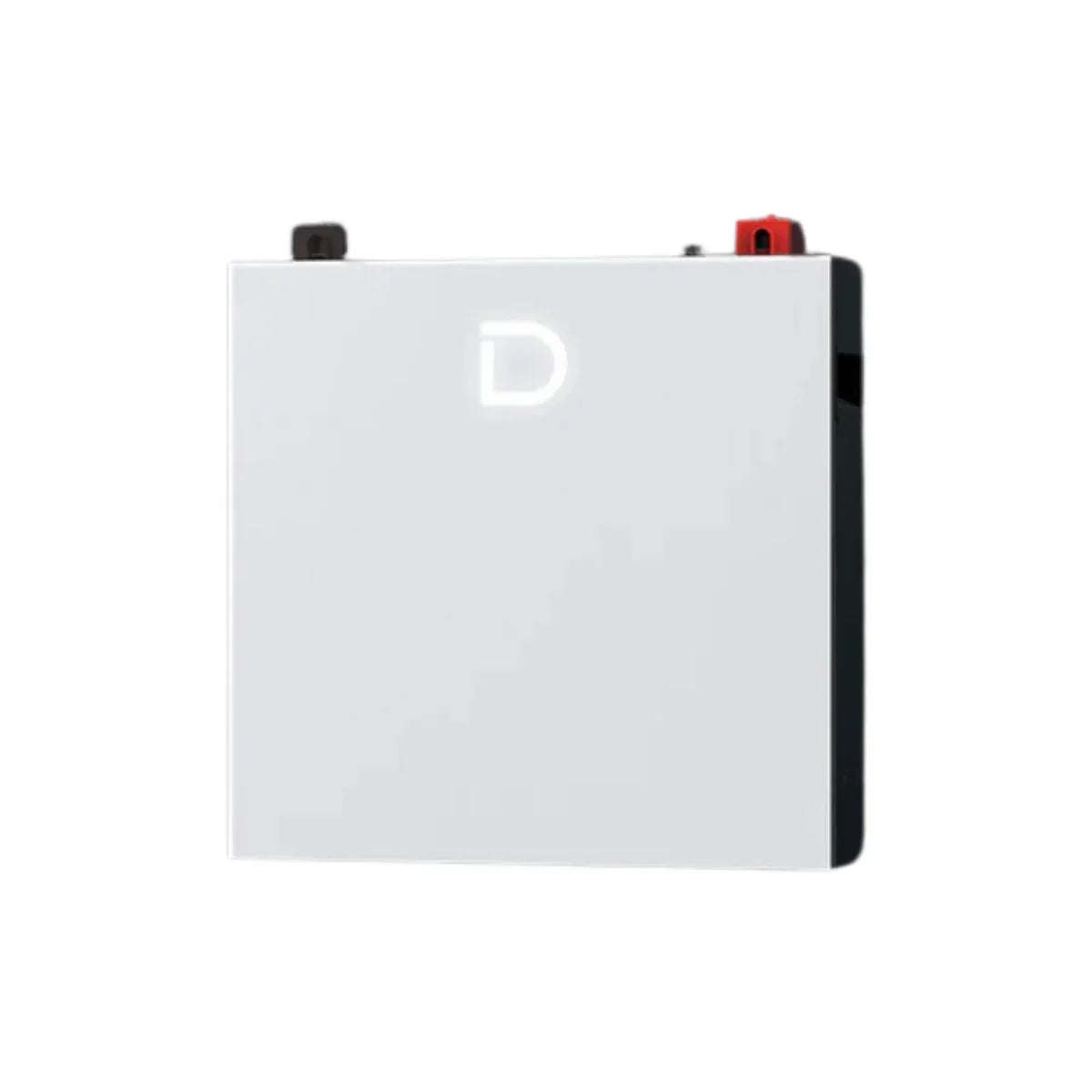 Dyness DL5.0C Pro Lithium Ion Battery 5.12KWH 51.2V 100Ah