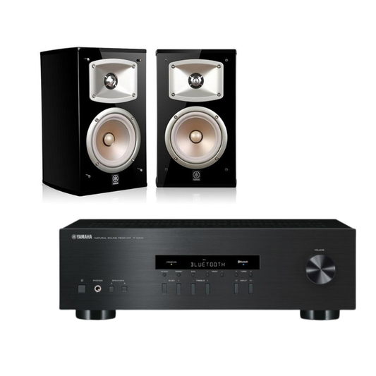 Yamaha NS-333 & Yamaha RS202 Bundle