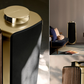 Bang & Olufsen Beolab 50 High-end Active Loudspeaker