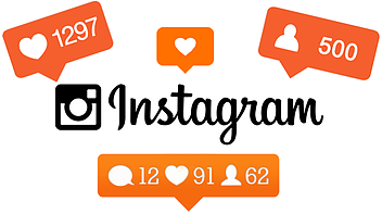 Instagram Growth Management