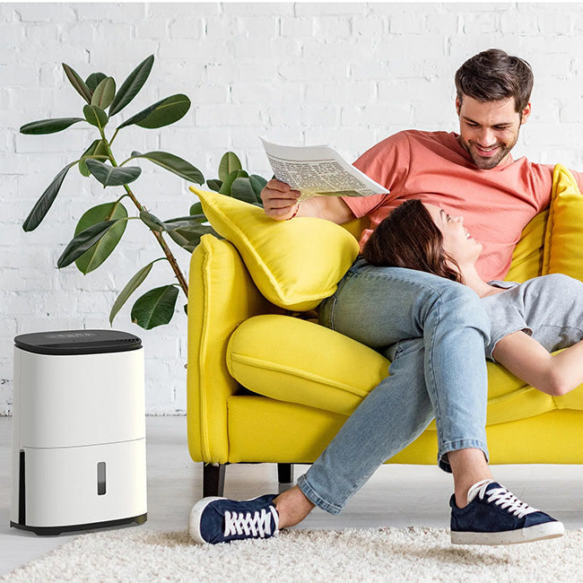 https://cdn.shopify.com/s/files/1/0711/9362/4737/files/meacodryarete1-12lsa_2.jpg
