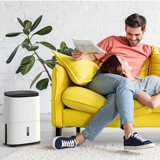 https://cdn.shopify.com/s/files/1/0711/9362/4737/files/meacodryarete1-12lsa_2.jpg